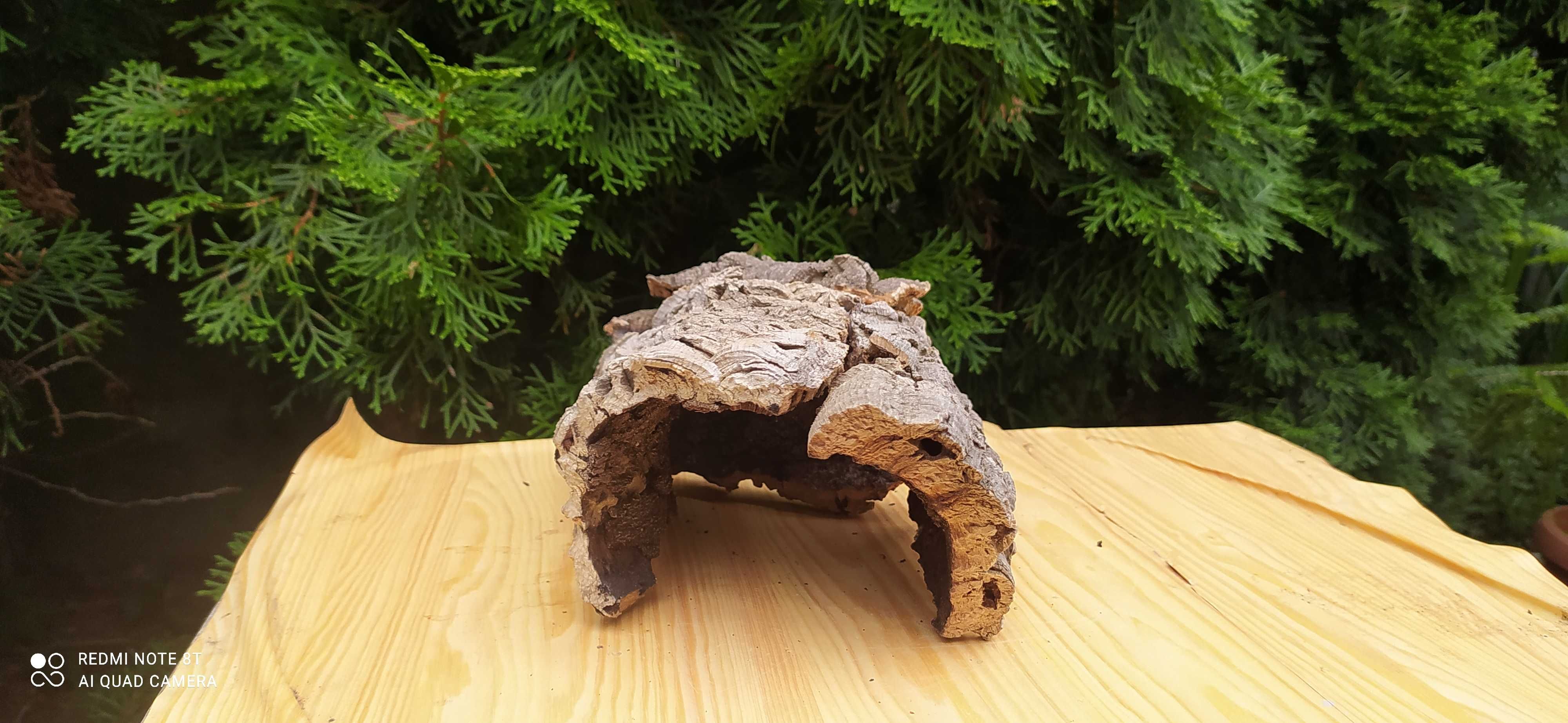Grota z dębu korkowego do terrarium
