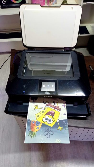 Принтер Canon Pixma MG6350
