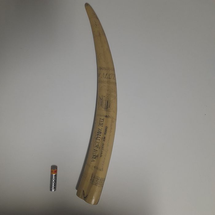 Presa Marfinite (com inscrições)