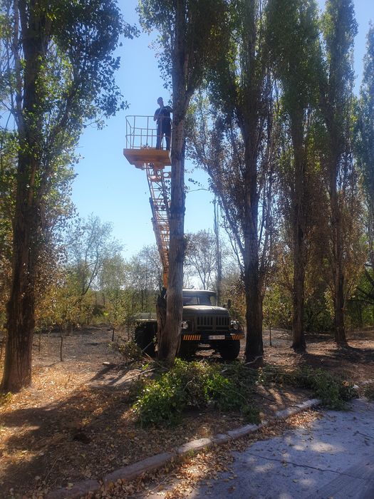 Спил дерев будь якої складності | Розчистка ділянок, вивіз сміття