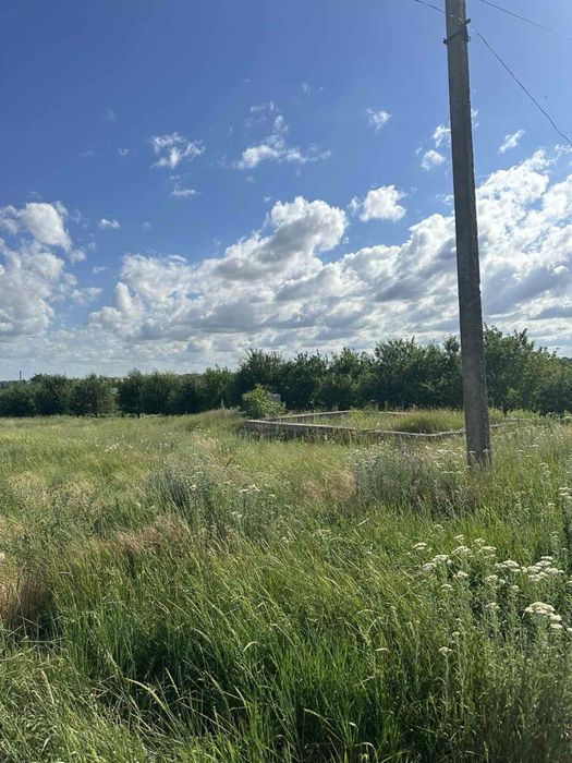 Земельна ділянка