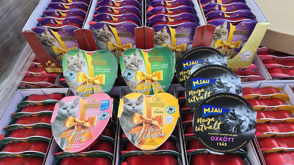 100szt Karma mix DLA KOTA