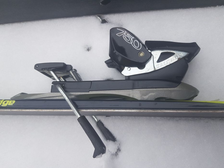 Гірські лижі Fisher