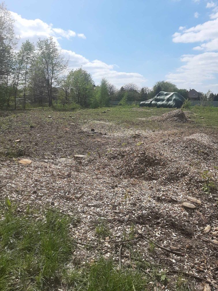 Wycinka drzew, karczowanie, koszenie trawy i nieużytków