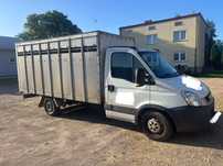 Iveco daily  auto do przewozu żywych zwierząt