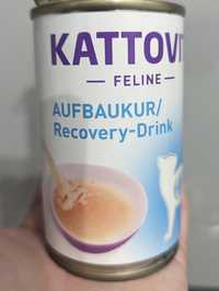 Kattovit Aufbaukur/Recovery-Drink