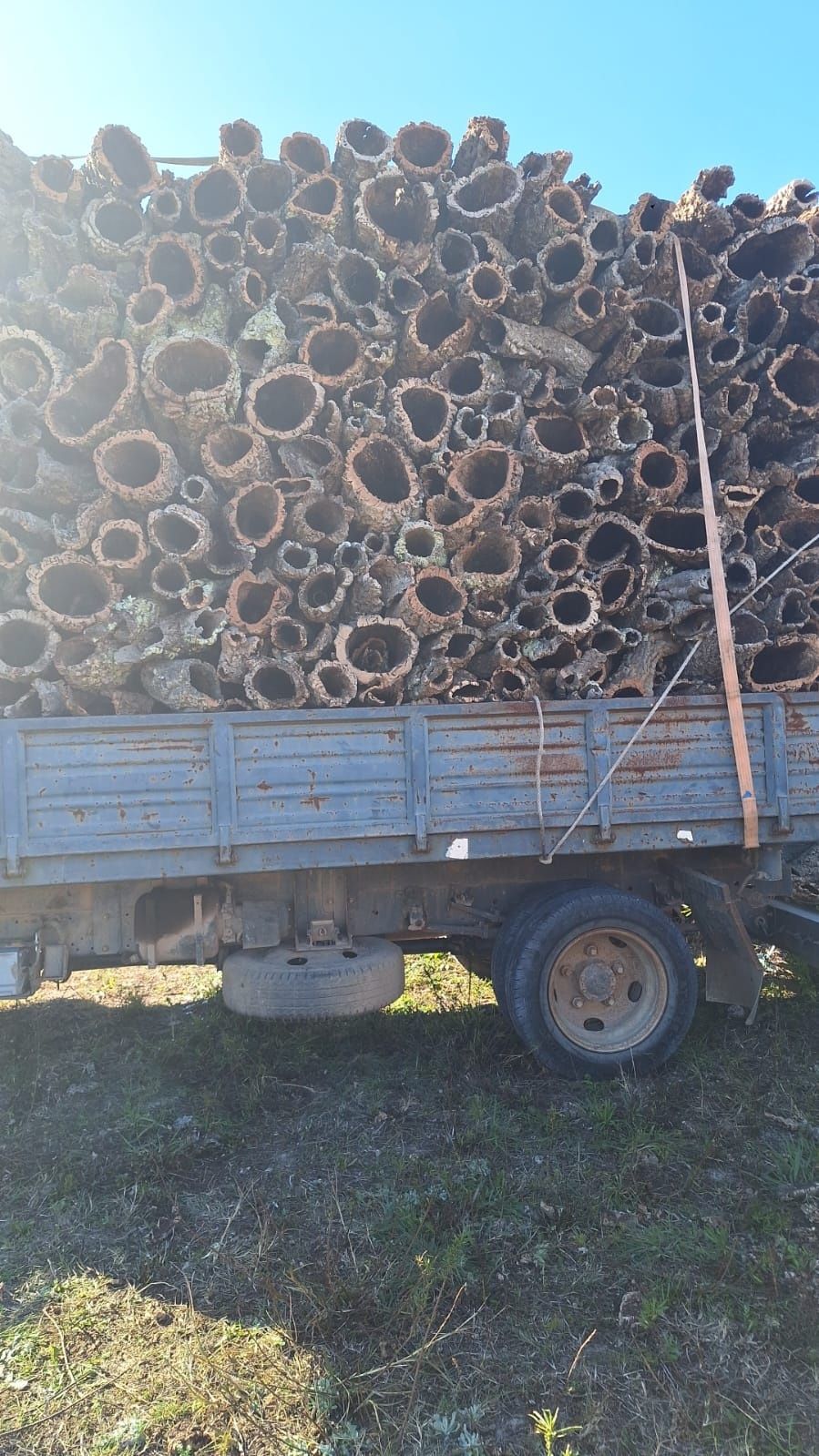 TUBOS DE CORTIÇA NATURAL PARA TERRÁRIOS – 4,20€/kg | Pombal