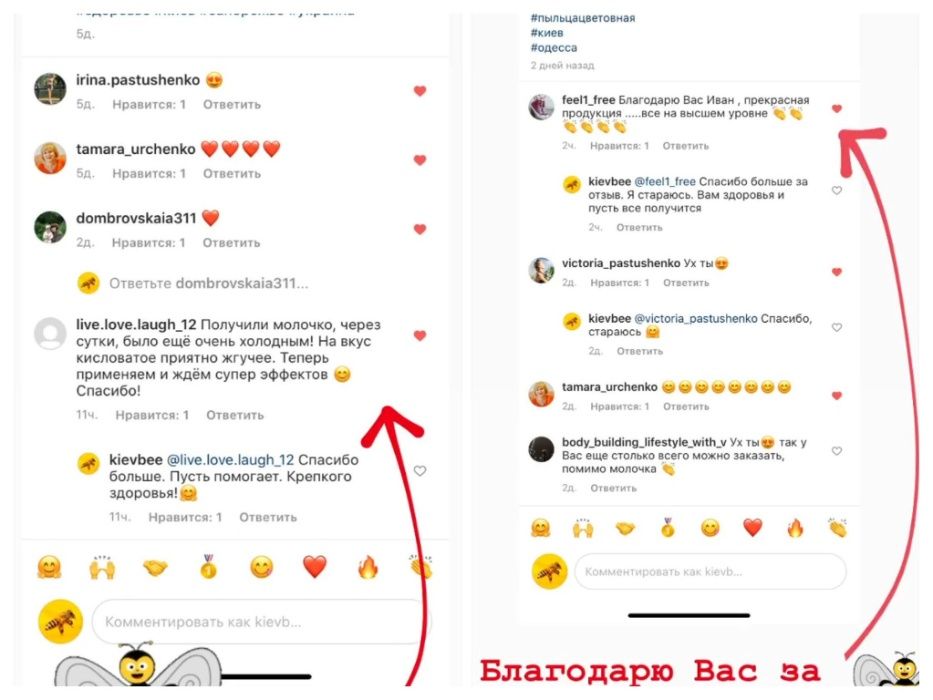 Свіже 2024 року заморожене маточне молочко сертифікат ЄС! та України