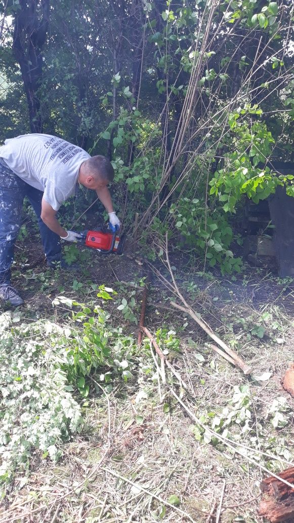 Koszenie trawników,usługi glebogryzarka,rębakiem,frezowanie pni