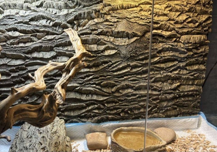 Кора пробки, пробкова кора. Дуже якісна суха