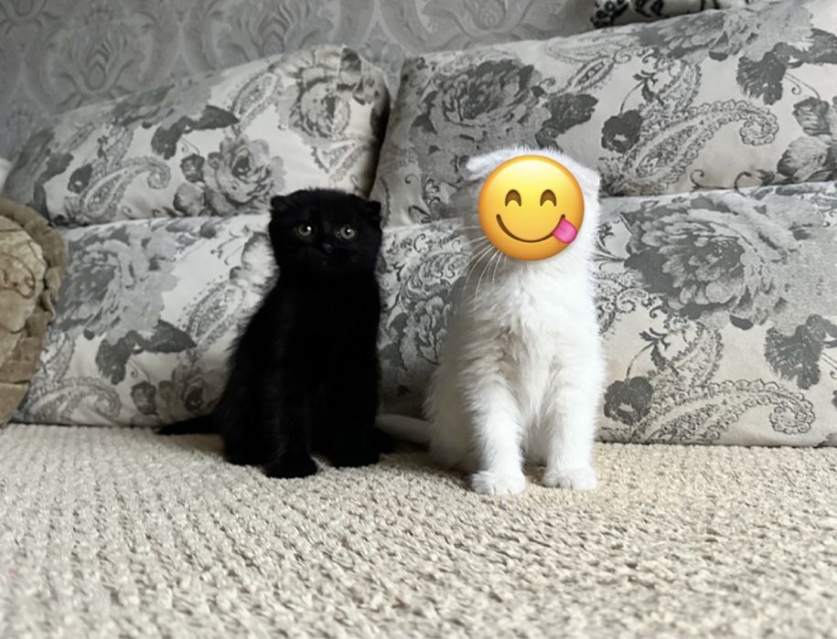 Ценителям Красивого )