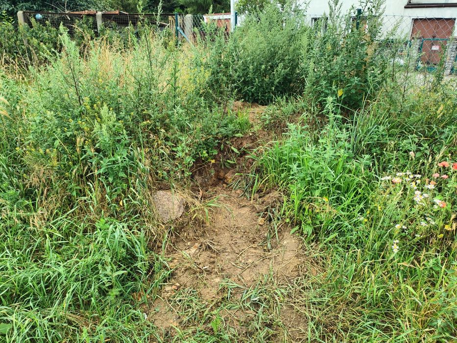 Dodam za darmo ziemię