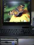 Komputer HP+monitor 19in.+klawiatura z myszką