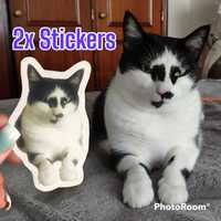 Stickers autocolantes personalizados gato cao animal