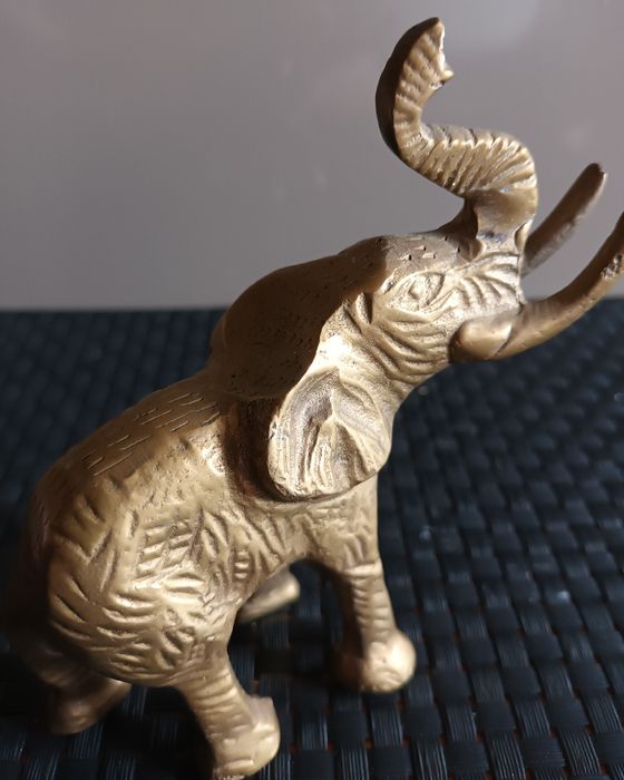 Słoń mosiądz ...