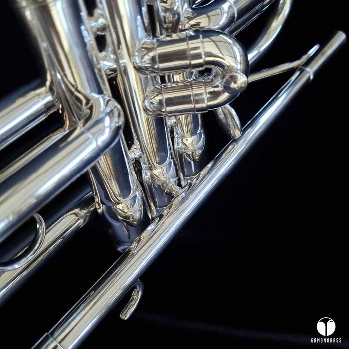wyjątkowy King Silverflair Ohio USA .462 large bore trąbka gamonbrass