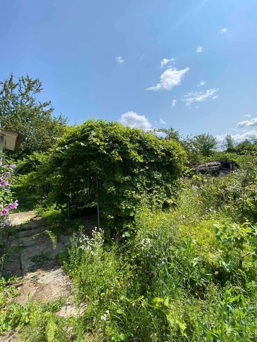 Продаж дачного будинку в СТ "Надія", район Ружична 39491