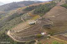 Quinta em pleno coração do Douro Vinhateiro