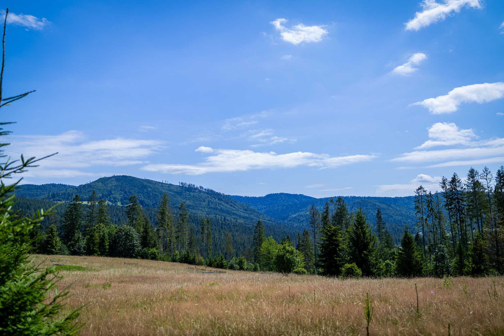 Leśna Stodoła w Soblówce. Domek w górach. Beskid Żywiecki. Cisza i Las