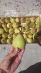Vendo caixas de fruta