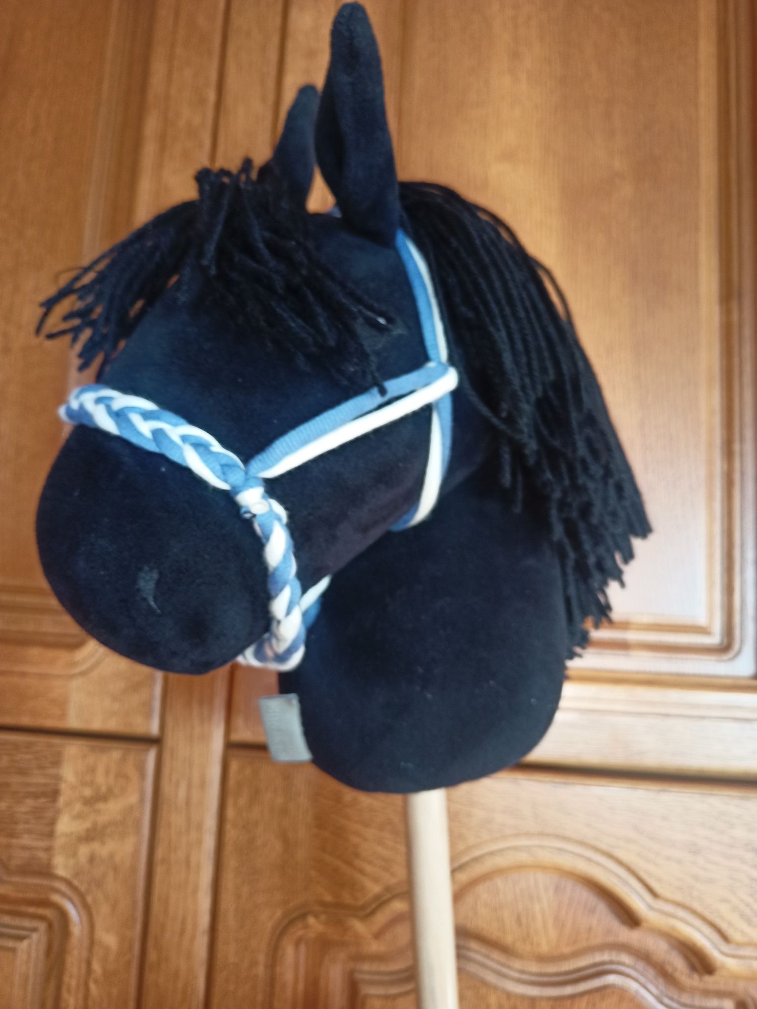 Hobby      Horse