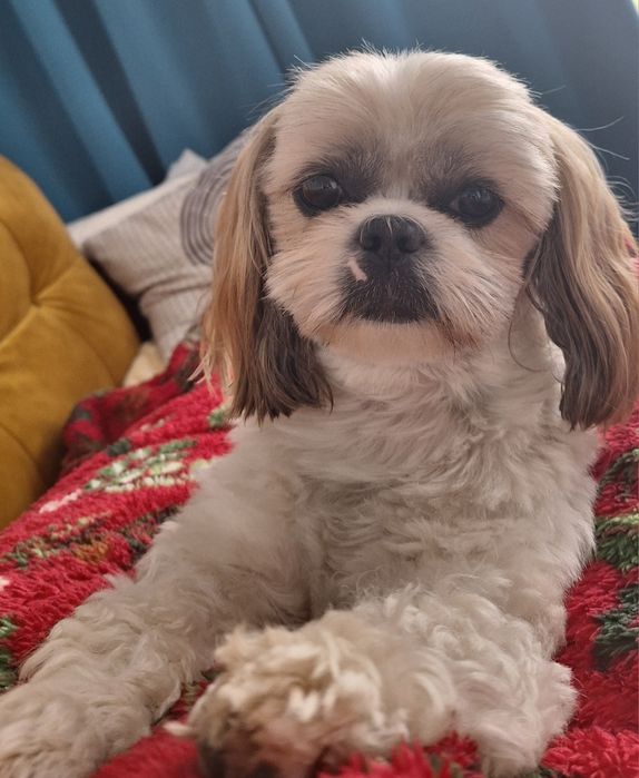 Korepetycje matematyka i fizyka