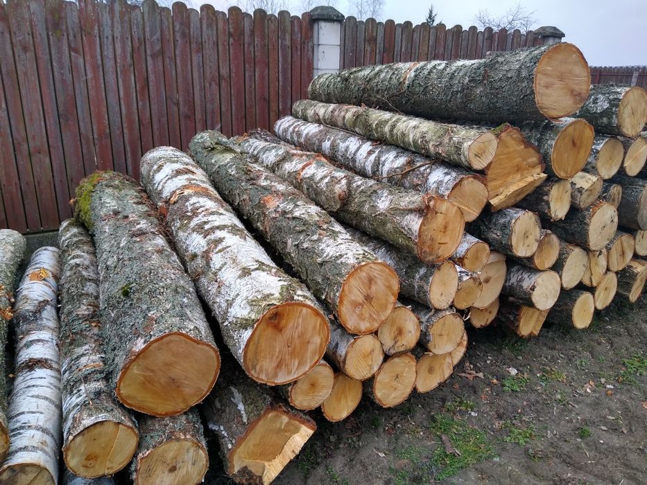 Drewno drzewo opałowe dąb brzoza sosna buk