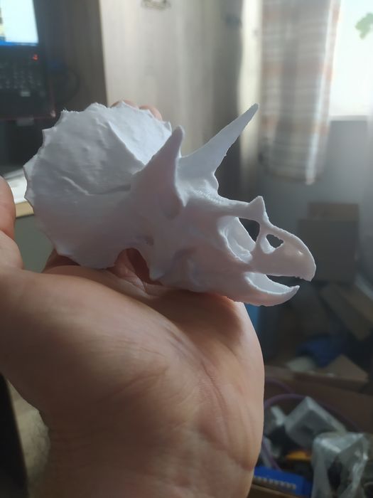 dinozaur, Triceratops, czaszka ozdoba terarium , reptarium,