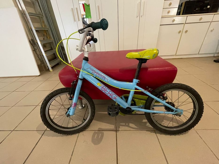 Bicicleta berg azul