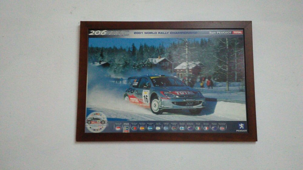 Quadro peugeot 206 wrc