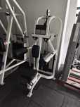 Life fitness lateral raises pro 1