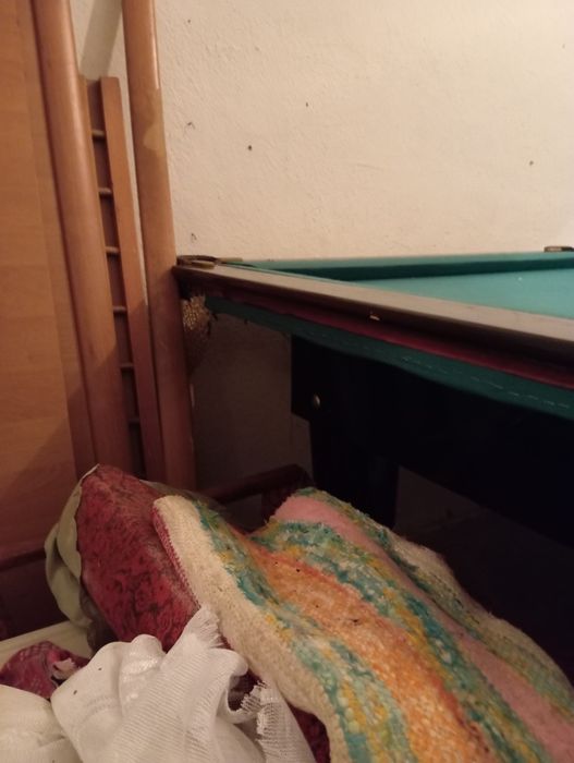 Стіл більярдний б/в.