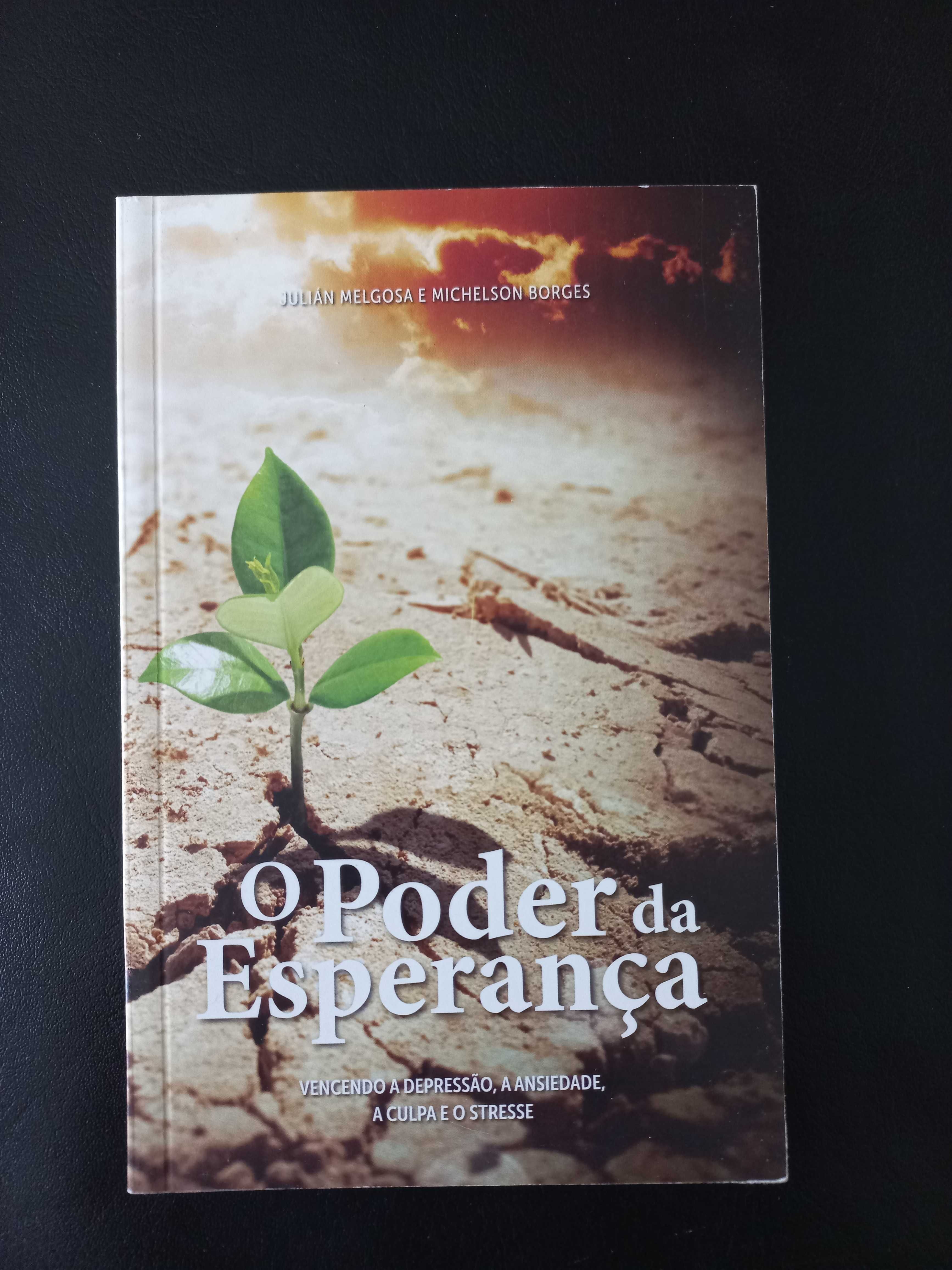 Lote de vário livros