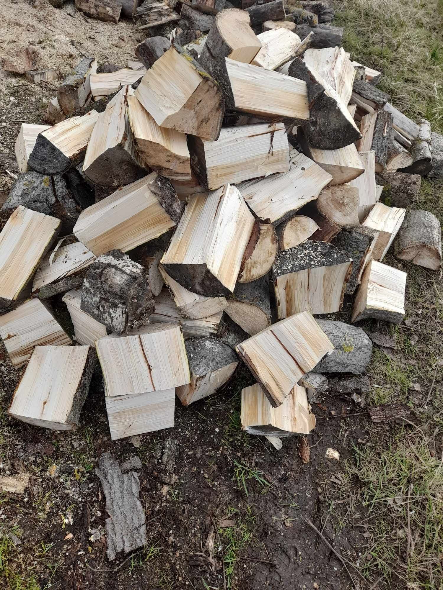 Drewno opałowe osika