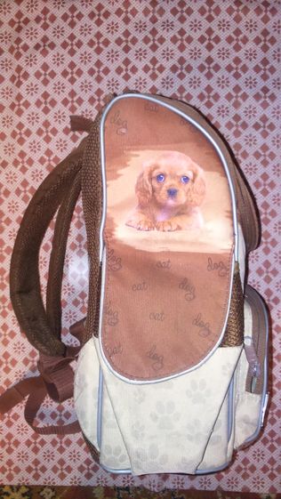 Портфель школьный с фото кота и собаки
