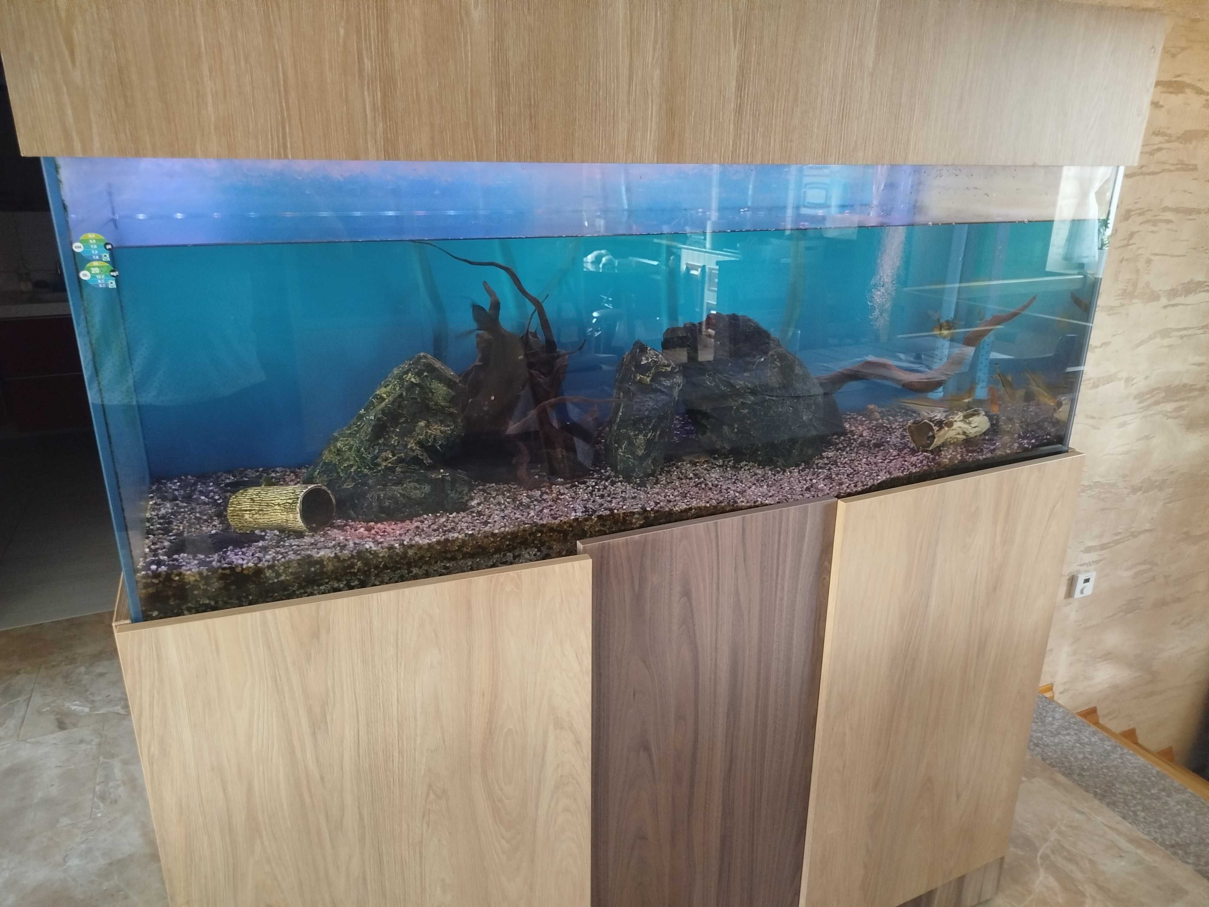 Akwarium 450l zestaw