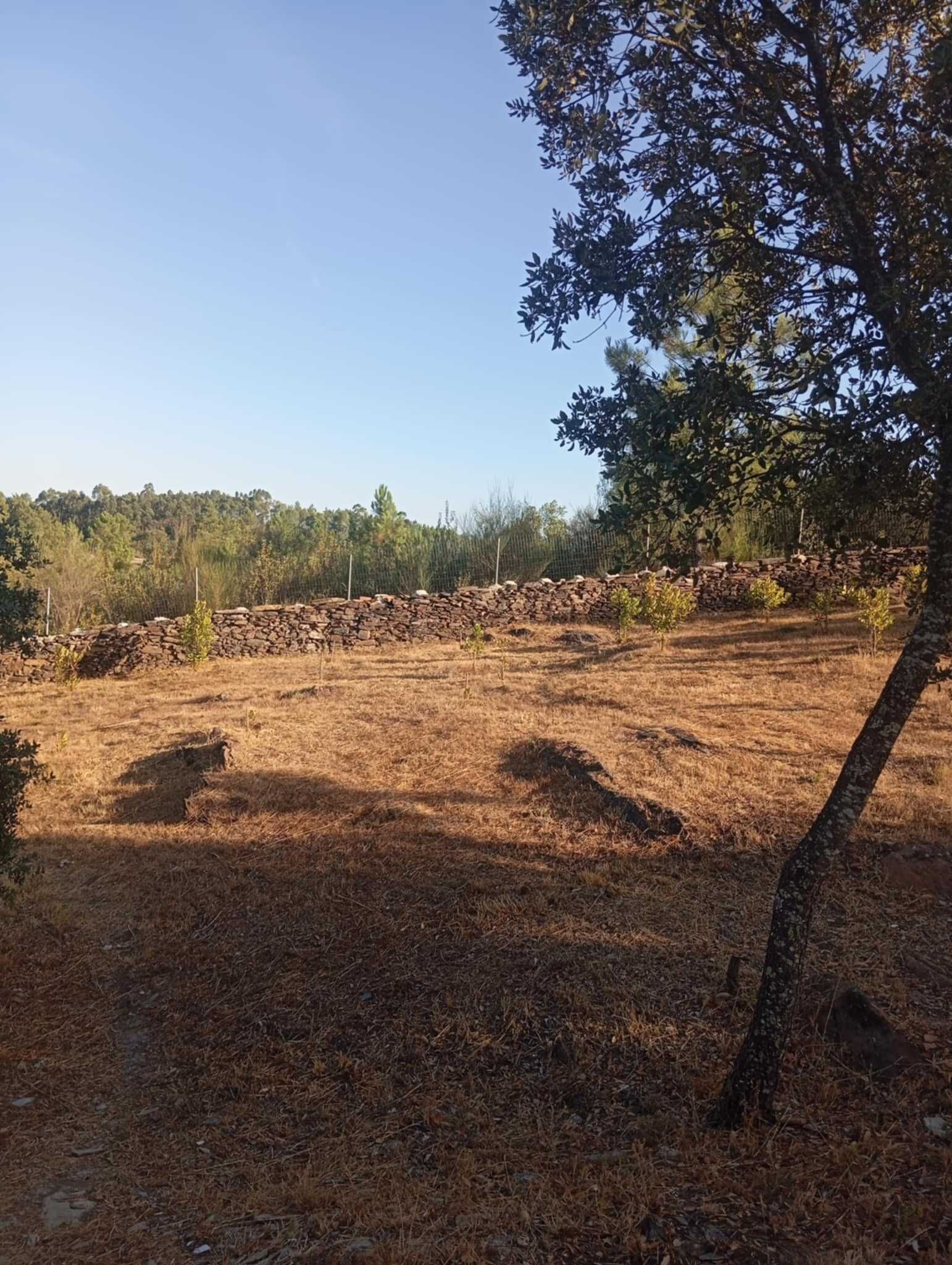 Vendo quintinha com muitas arvores e muita água perto Castelo Branco