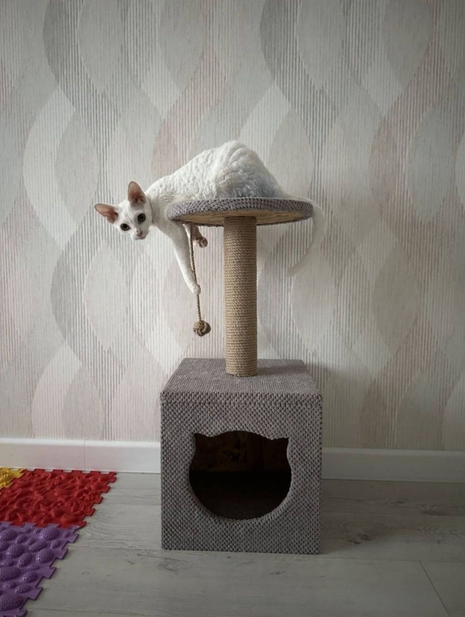 Котячий маяк когтеточка домик для котика