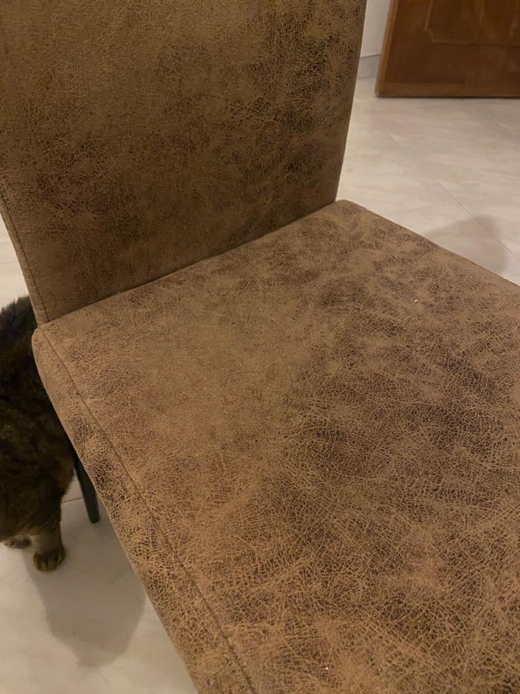 Conjunto mesa de jantar com cadeiras