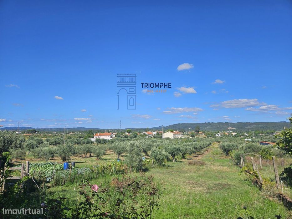 Quinta terreno rústico, com parcela urbana Tomar