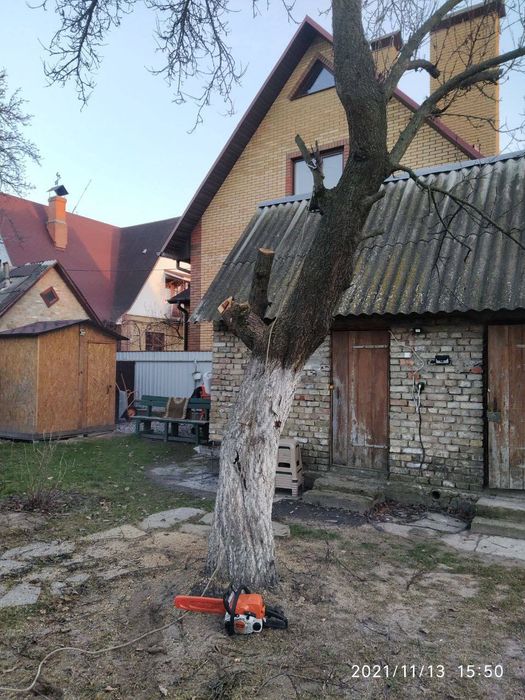 Обрезка деревьев весною. Спил, чистка  дерев. Корчування.Кронування.