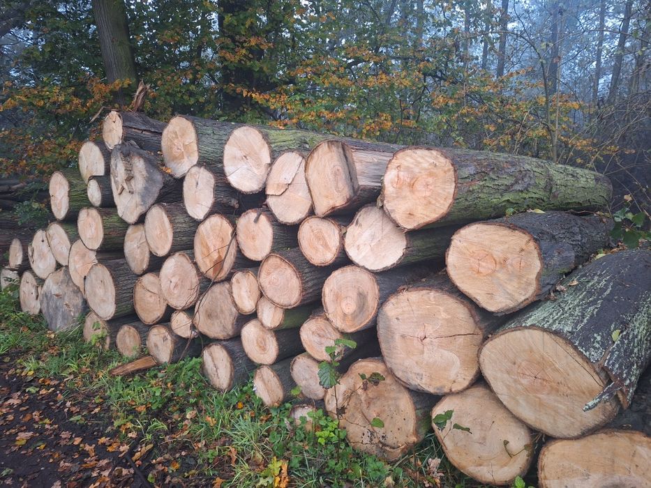 Drewno kominkowe opałowe solidne m3!