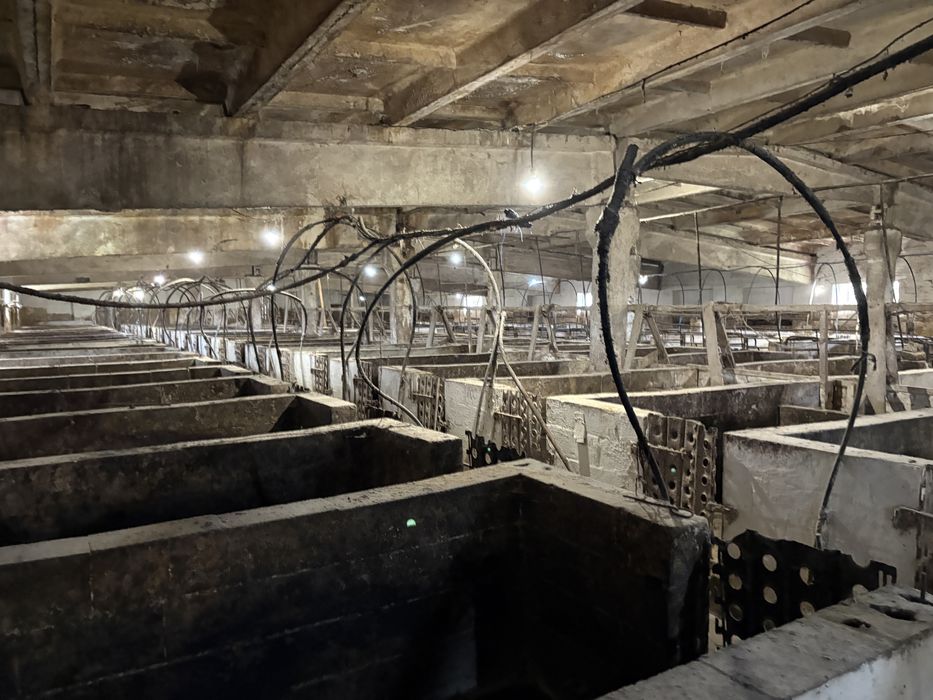 Діючий бізнес. Діюча комплексна свиноферма