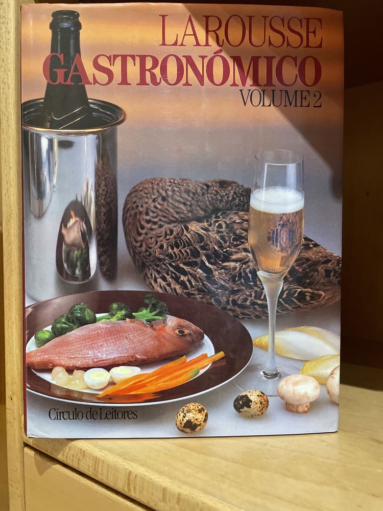 Livro Gastronomia