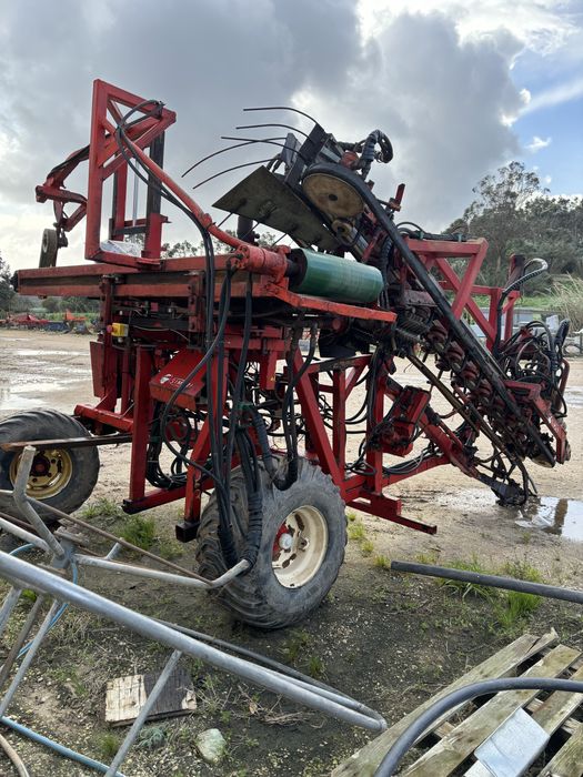 Maquina apanhar/ colhedora alho frances automatica