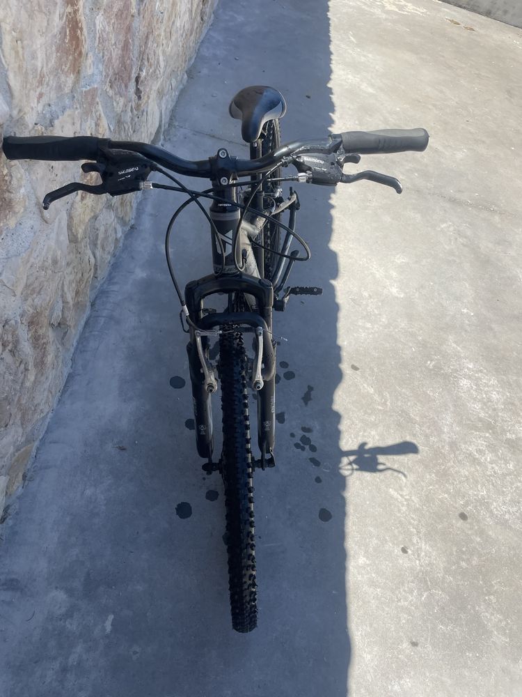 Bicicleta Coluer Randy 240 24"