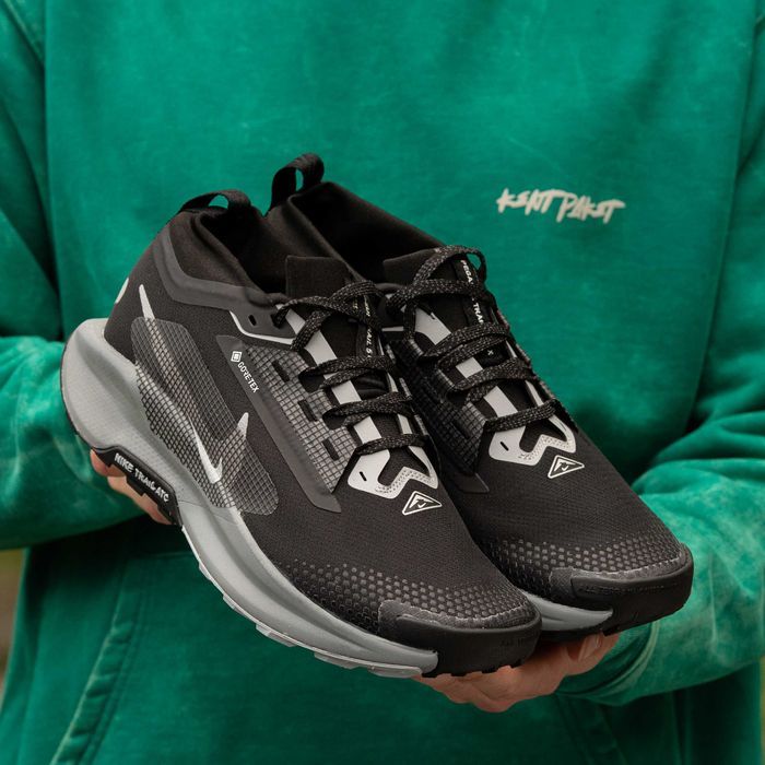 Чоловічі Кросівки Nike W Pegasus Trail 5 GTX 40-45 (Без Предоплати)