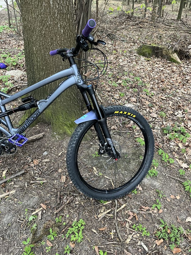Dartmoor blackbird intro 27.5 2022