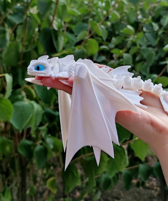 Нічна та Денна Фурії ,як приборкати дракона, Безубик