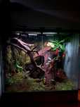Paludarium Repti Planet 60x45x60